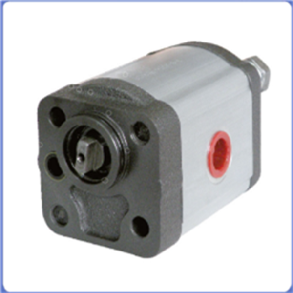 SS-P-CHP1F 超静音高压泵