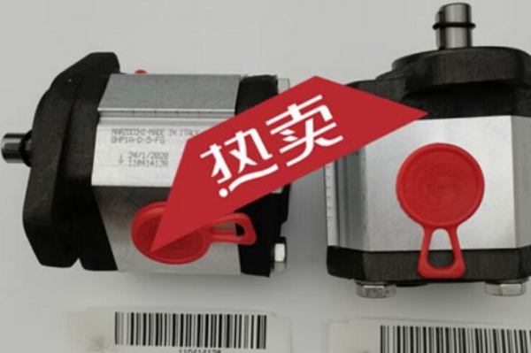 意大利Marzocchi齿轮泵GHP1A-D-7-FG,马祖奇双联齿轮泵ALP2BK1-D-12-FG-V