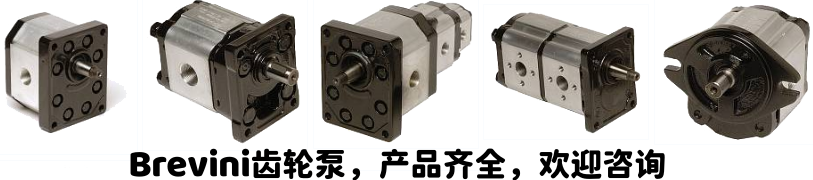 布雷维尼OT系列齿轮泵