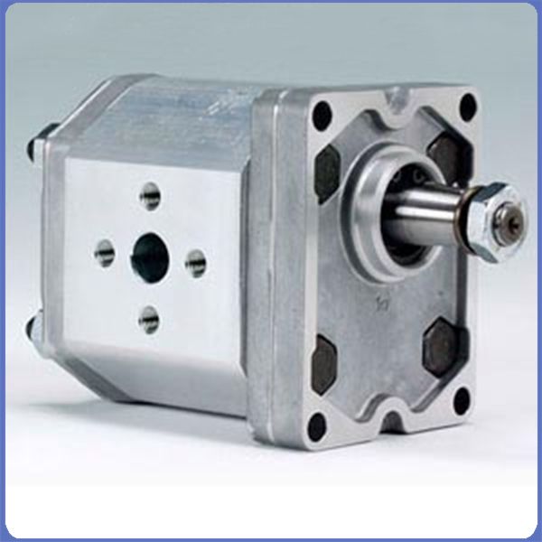 ALP系列马祖奇（Marzocchi）齿轮泵