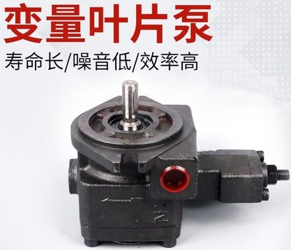 油力顿叶片泵