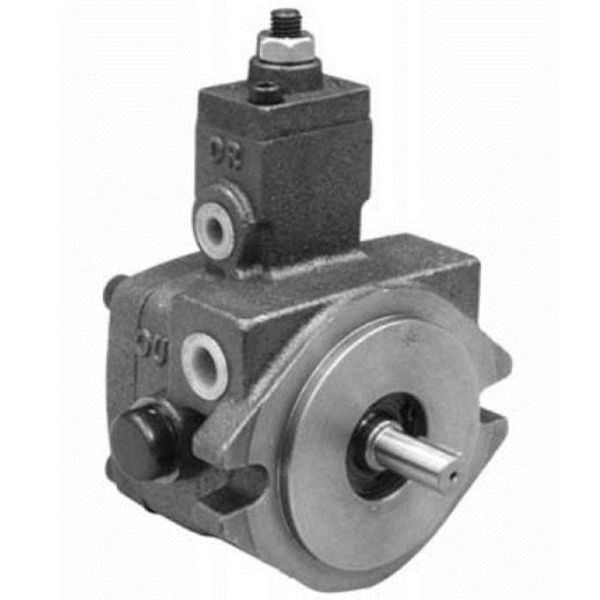 PVE -可变排量叶片泵