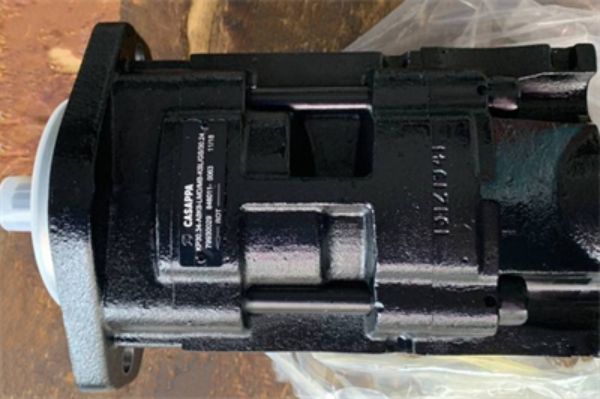 意大利CASAPPA齿轮马达PLP10.6.3S*-88V6-LGC,PLP20.11.2D0-82E2型号说明及参数