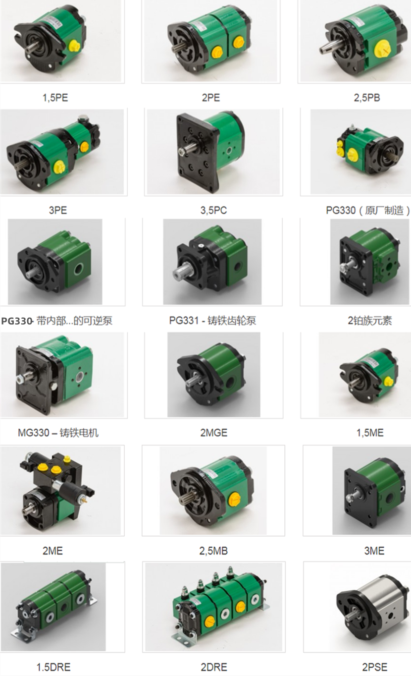 萨拉米齿轮油泵